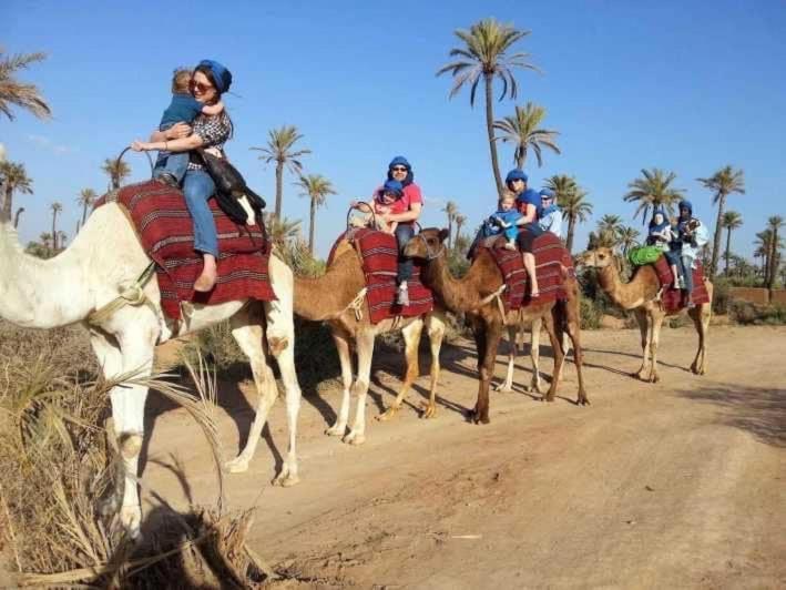 Tres Beau Riad A Marrakech Avec Piscines Marakeş Dış mekan fotoğraf